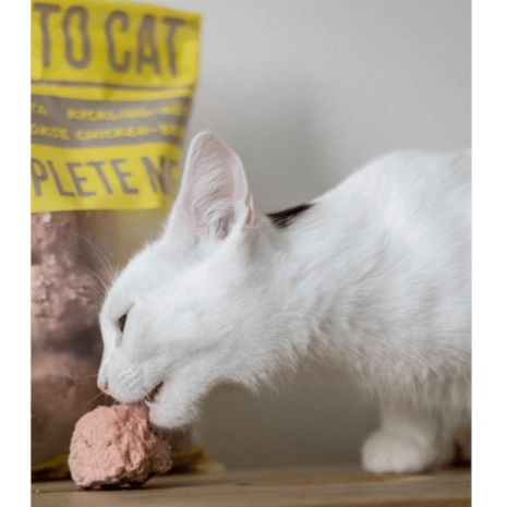 MUSH-Vaisto®Gelb_cat_pimage1 MUSH Vaisto® Gelb cat