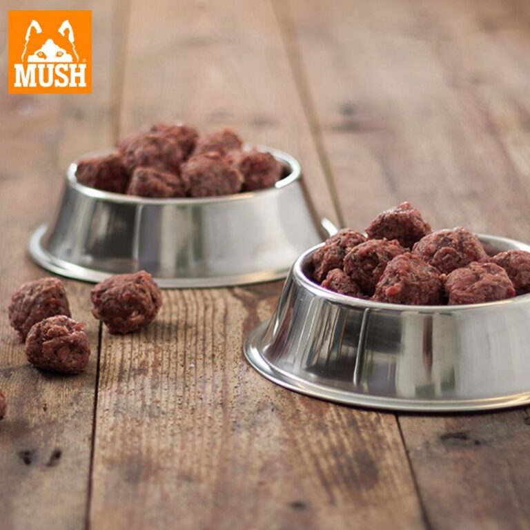 Ready raw meal for dog