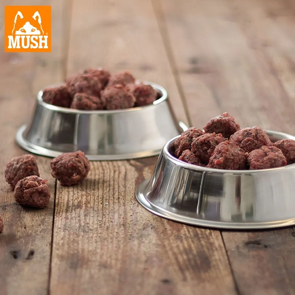 Ready raw meal for dog