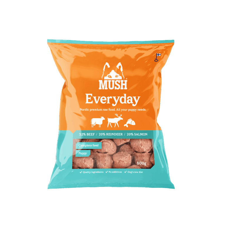 Everyday Iceblue 800g