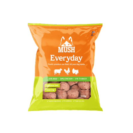 Everyday Light Green 800g (EU) Everyday Light Green 800g