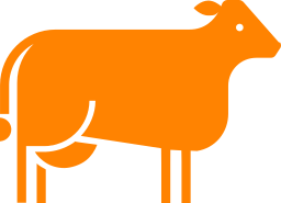 ingredients beef